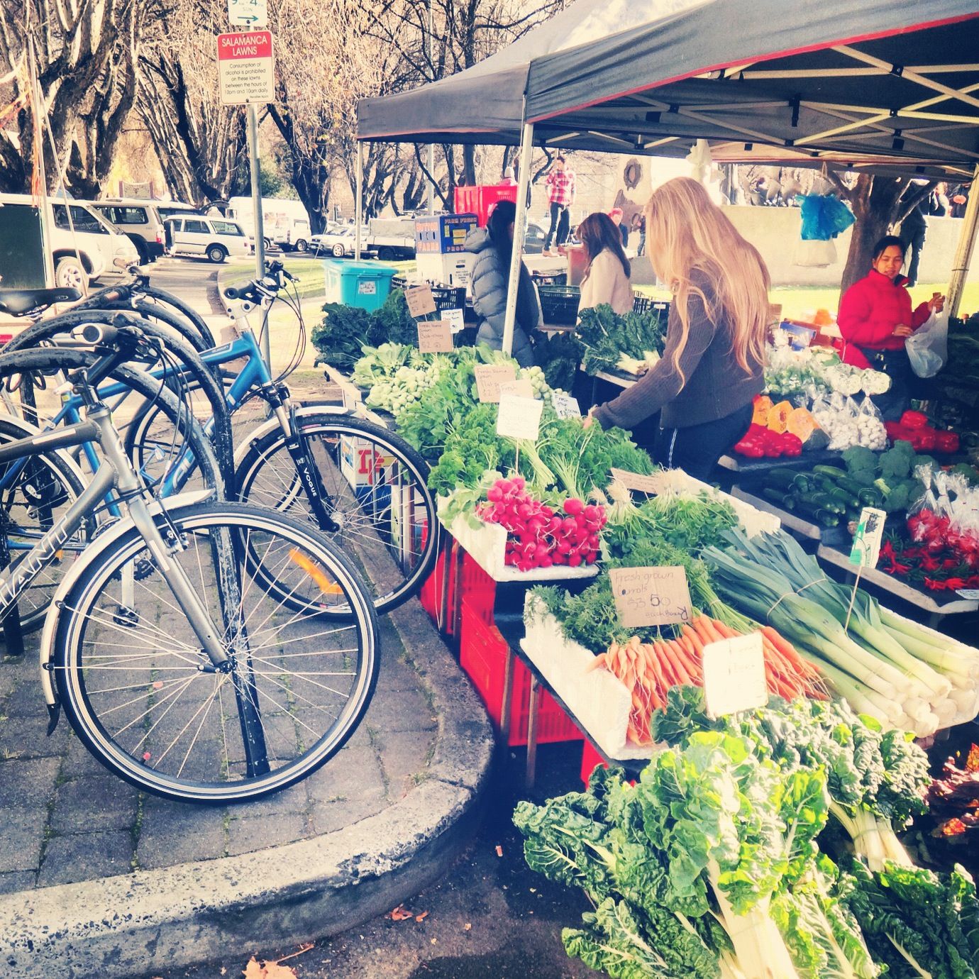 https://mdw-travel-data-us-east-1.s3.amazonaws.com/img/country/Australia/Salamanca-Market/img_02.jpg