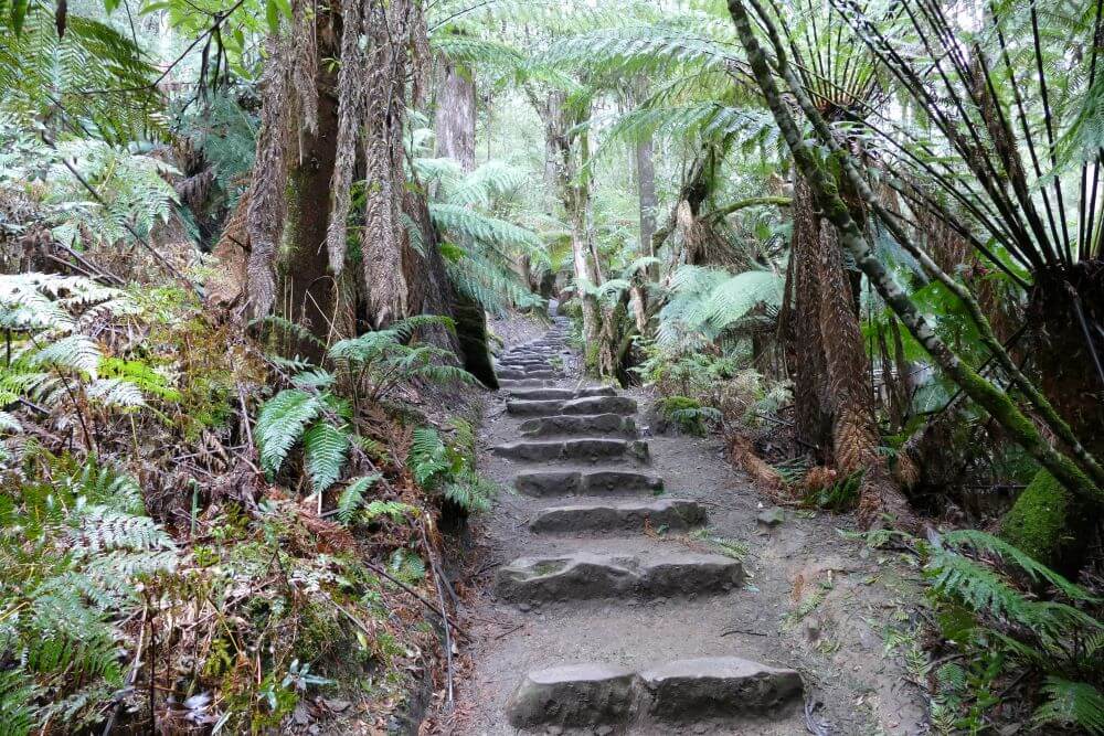 https://mdw-travel-data-us-east-1.s3.amazonaws.com/img/country/Australia/Salmon-Ponds/img_01.jpg