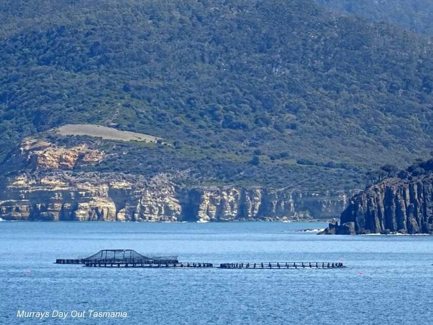 https://mdw-travel-data-us-east-1.s3.amazonaws.com/img/country/Australia/Salmon-Ponds/img_02.jpg