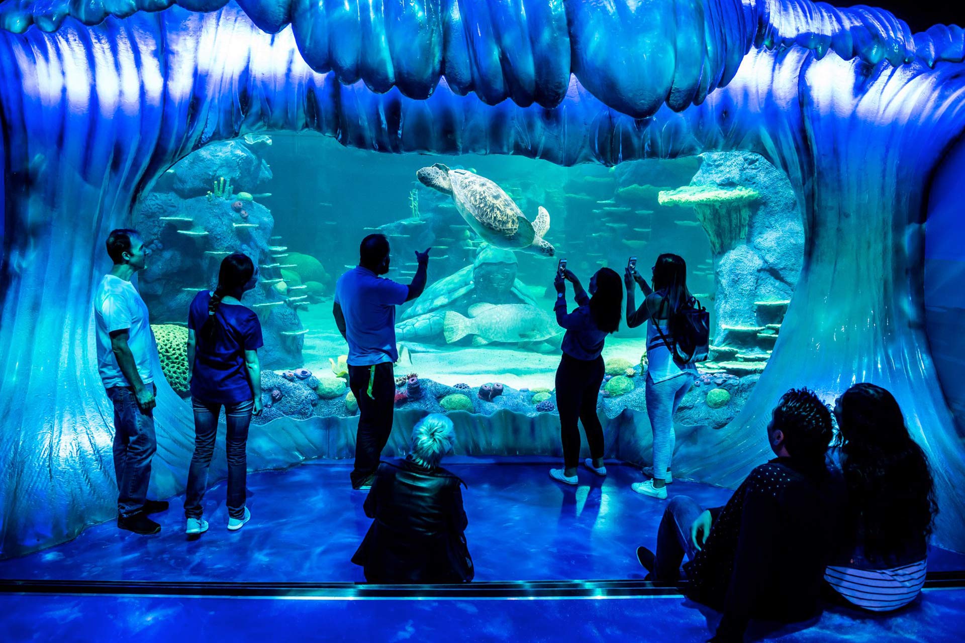 https://mdw-travel-data-us-east-1.s3.amazonaws.com/img/country/Australia/Sea-Life-Sydney-Aquarium/img_01.jpg