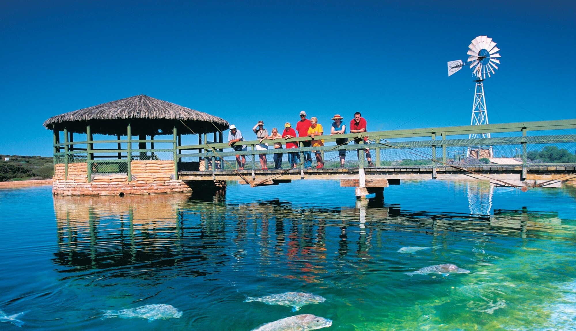 https://mdw-travel-data-us-east-1.s3.amazonaws.com/img/country/Australia/Shark-Bay/img_04.jpg