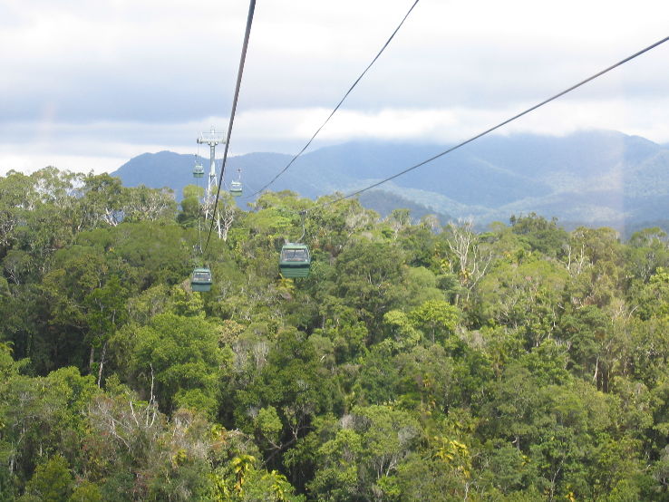 https://mdw-travel-data-us-east-1.s3.amazonaws.com/img/country/Australia/Skyrail-Rainforest-Cableway/img_01.jpg