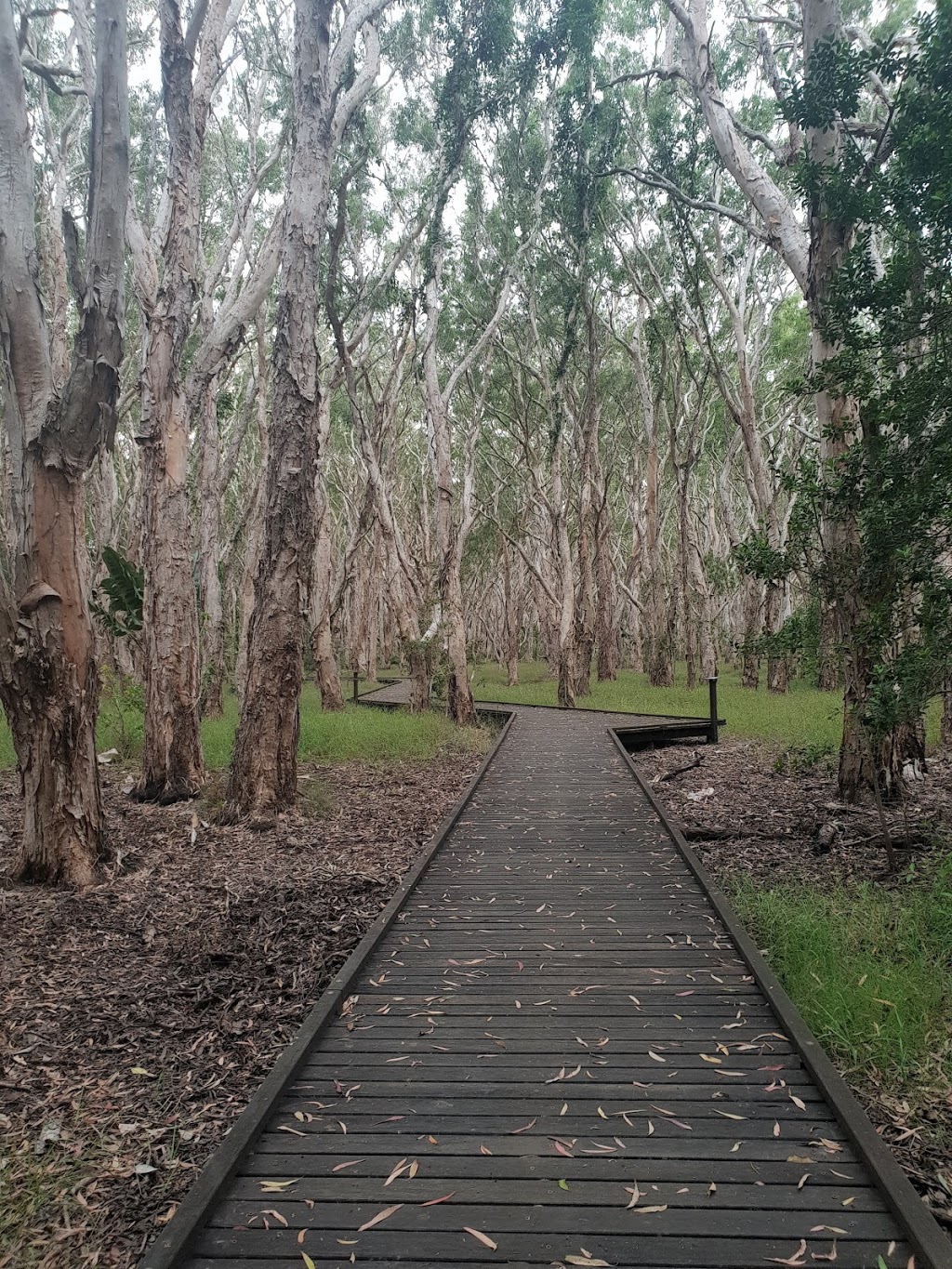 https://mdw-travel-data-us-east-1.s3.amazonaws.com/img/country/Australia/Slade-Point-Reserve/img_01.jpg