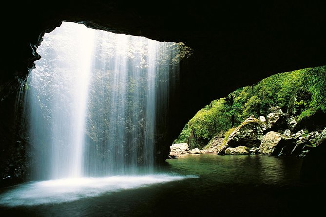 https://mdw-travel-data-us-east-1.s3.amazonaws.com/img/country/Australia/Springbrook-National-Park/img_02.jpg