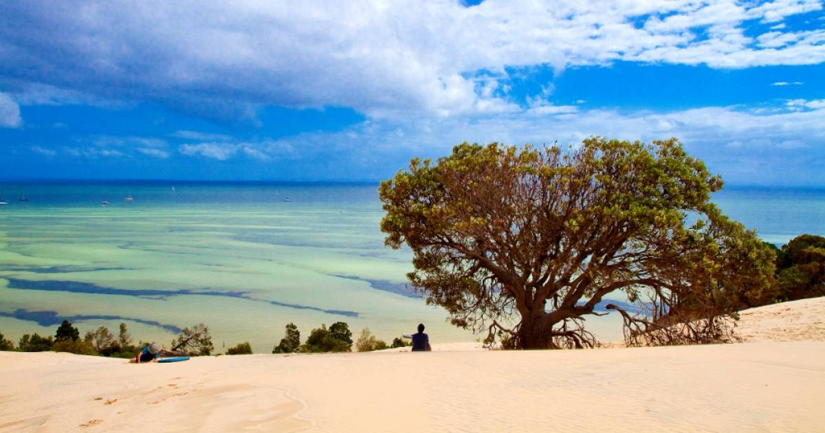 https://mdw-travel-data-us-east-1.s3.amazonaws.com/img/country/Australia/Springbrook-National-Park/img_03.jpg