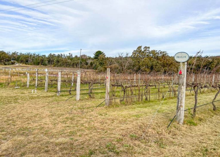 https://mdw-travel-data-us-east-1.s3.amazonaws.com/img/country/Australia/Stanthorpe-Wine-Region/img_02.jpg
