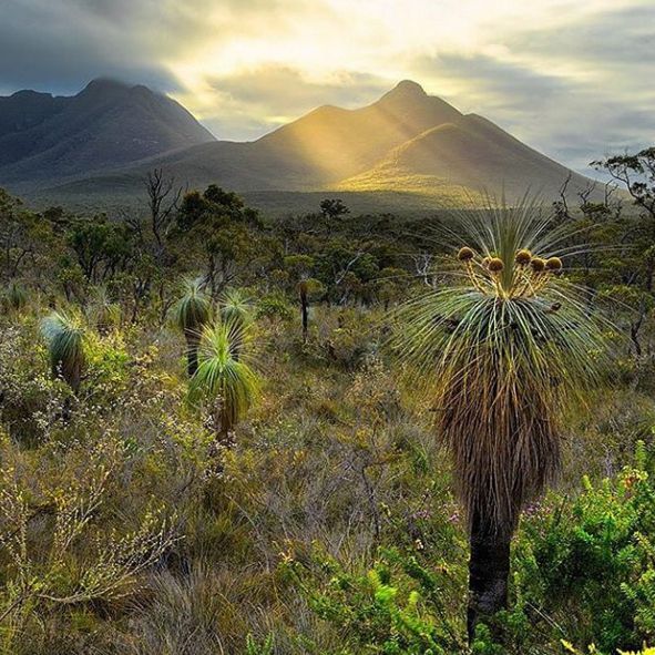 https://mdw-travel-data-us-east-1.s3.amazonaws.com/img/country/Australia/Stirling-Range-National-Park/img_01.jpg