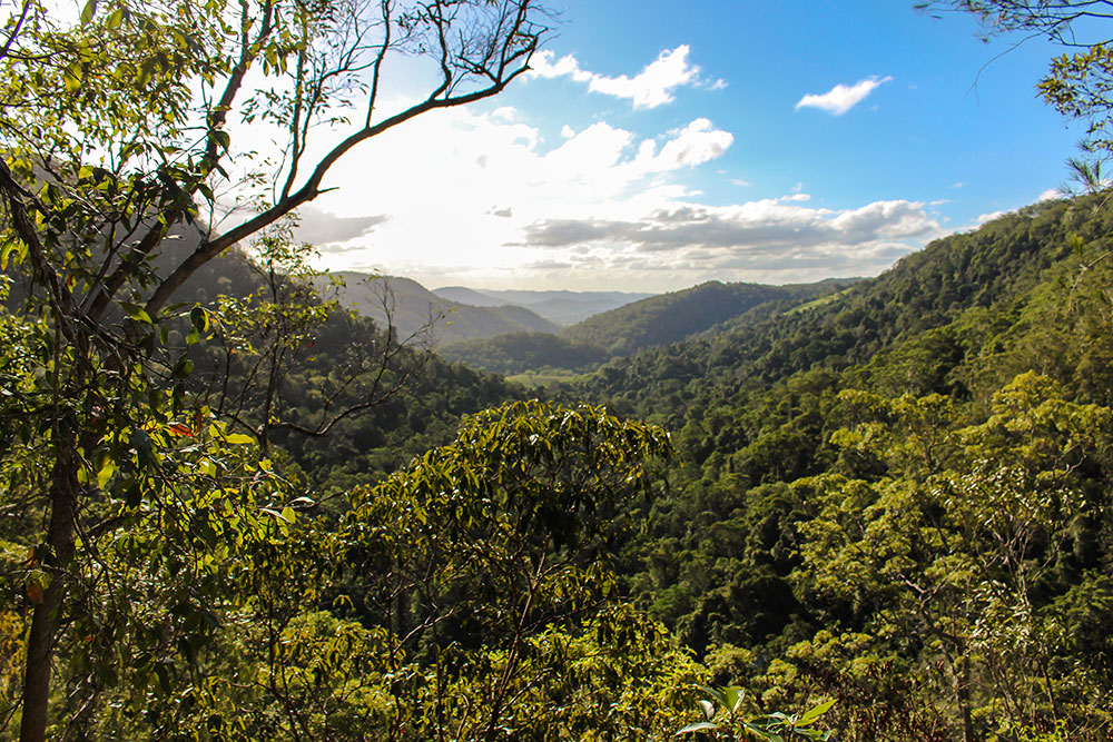 https://mdw-travel-data-us-east-1.s3.amazonaws.com/img/country/Australia/Sunshine-Coast-Hinterland-Great-Walk/img_00.jpg