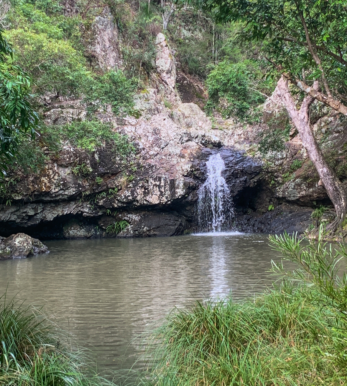 https://mdw-travel-data-us-east-1.s3.amazonaws.com/img/country/Australia/Sunshine-Coast-Hinterland-Great-Walk/img_01.jpg