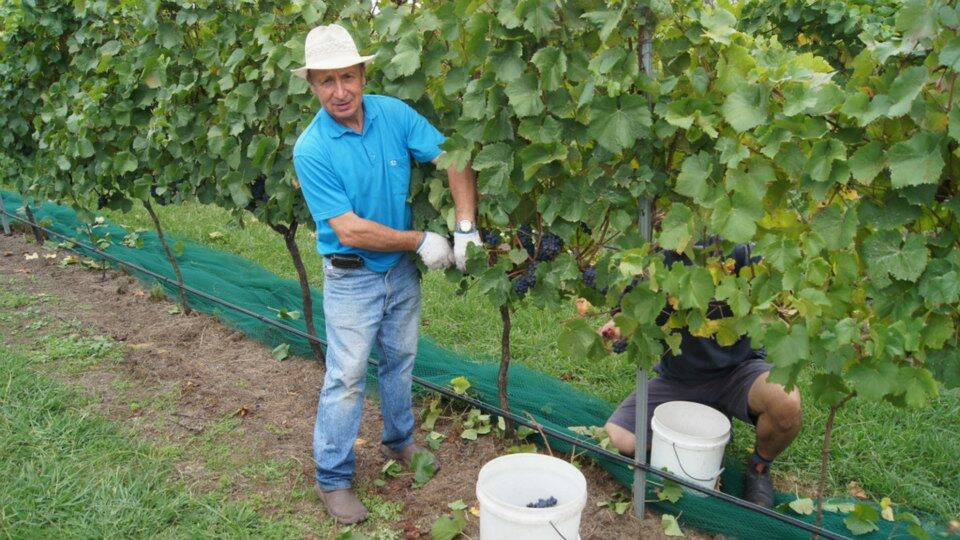 https://mdw-travel-data-us-east-1.s3.amazonaws.com/img/country/Australia/Sutton-Forest-Estate-Wines/img_00.jpg