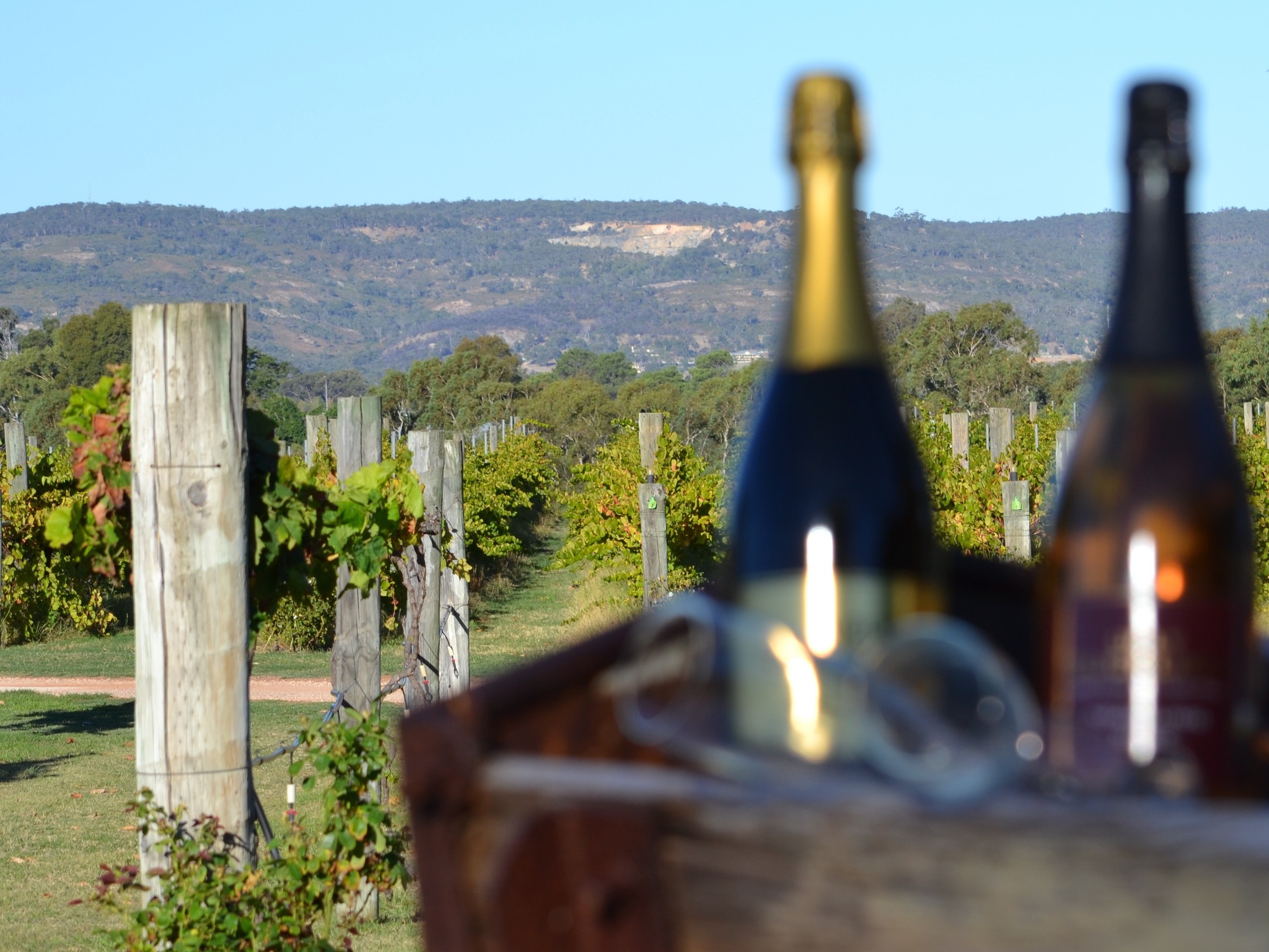 https://mdw-travel-data-us-east-1.s3.amazonaws.com/img/country/Australia/Swan-Valley/img_01.jpg