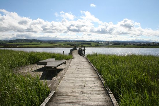 https://mdw-travel-data-us-east-1.s3.amazonaws.com/img/country/Australia/Tamar-Island-Wetlands/img_01.jpg