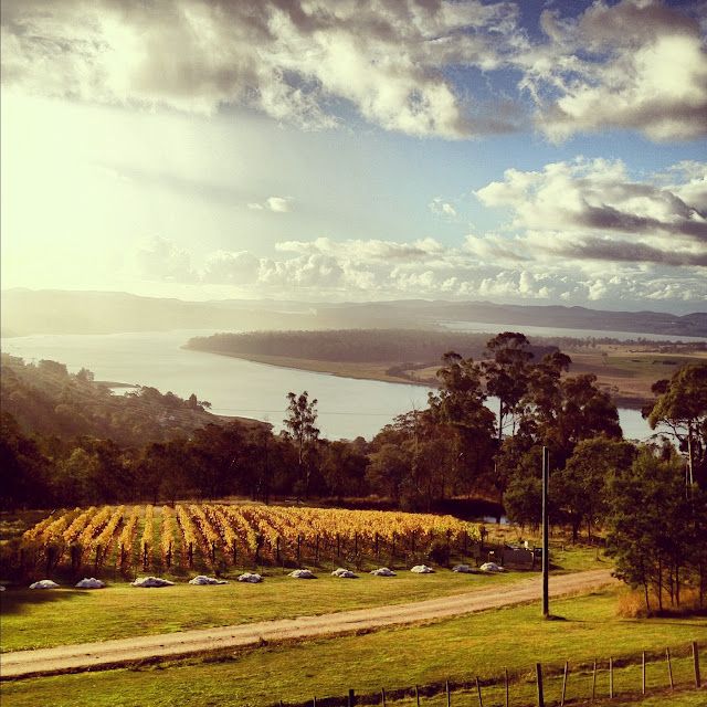 https://mdw-travel-data-us-east-1.s3.amazonaws.com/img/country/Australia/Tamar-Valley/img_01.jpg