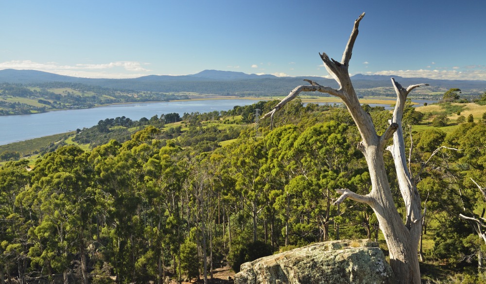 https://mdw-travel-data-us-east-1.s3.amazonaws.com/img/country/Australia/Tamar-Valley/img_02.jpg