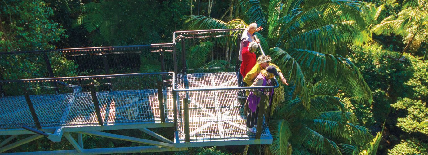 https://mdw-travel-data-us-east-1.s3.amazonaws.com/img/country/Australia/Tamborine-Rainforest-Skywalk/img_01.jpg
