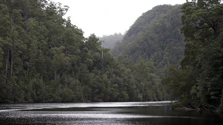 https://mdw-travel-data-us-east-1.s3.amazonaws.com/img/country/Australia/Tarkine-Forest-Reserve/img_02.jpg