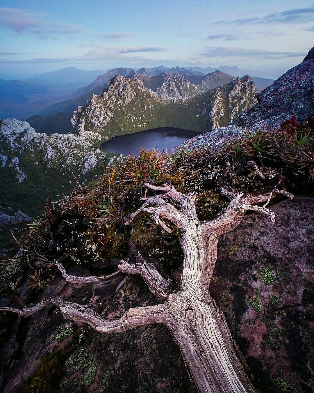 https://mdw-travel-data-us-east-1.s3.amazonaws.com/img/country/Australia/Tarkine-Forest-Reserve/img_04.jpg