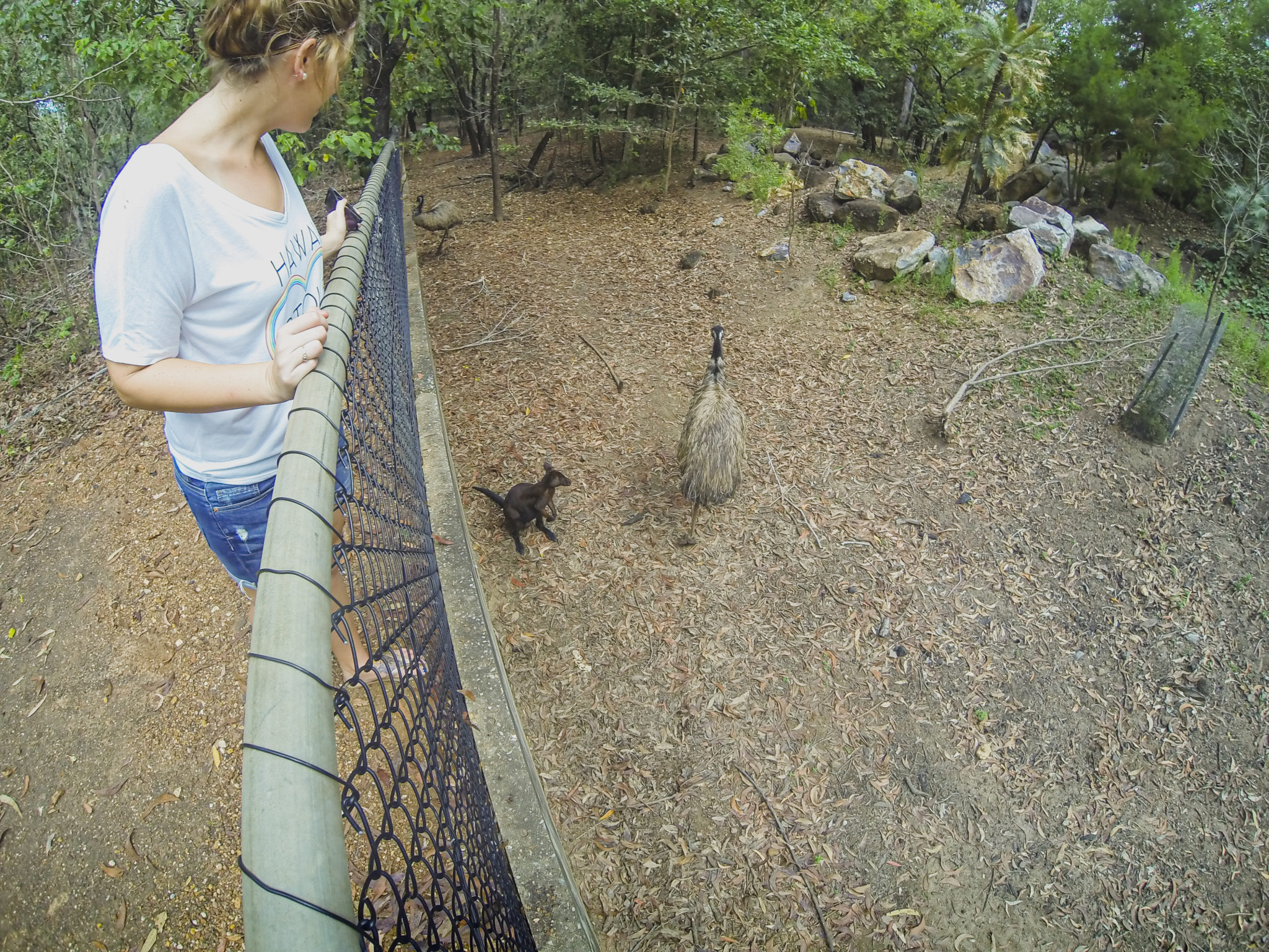 https://mdw-travel-data-us-east-1.s3.amazonaws.com/img/country/Australia/Territory-Wildlife-Park/img_03.jpg