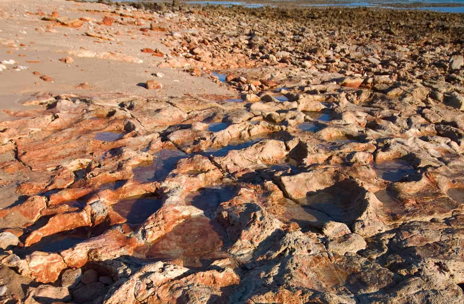 https://mdw-travel-data-us-east-1.s3.amazonaws.com/img/country/Australia/The-Dinosaur-Trail/img_03.jpg
