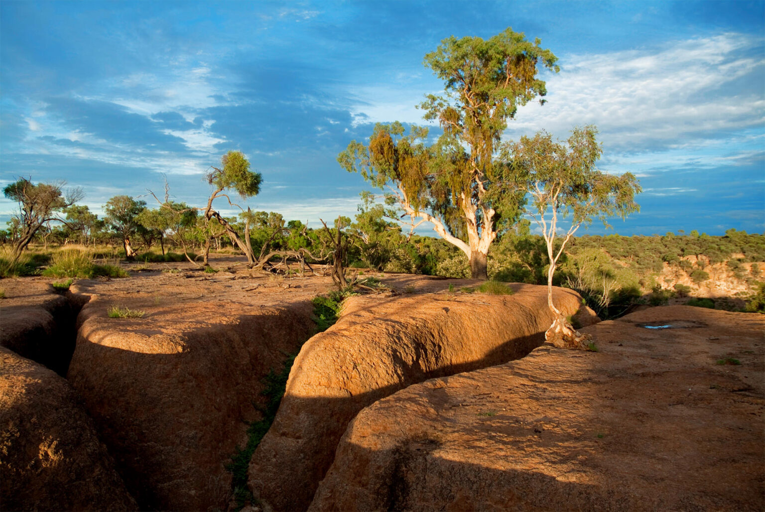 https://mdw-travel-data-us-east-1.s3.amazonaws.com/img/country/Australia/The-Dinosaur-Trail/img_04.jpg