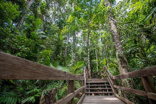 https://mdw-travel-data-us-east-1.s3.amazonaws.com/img/country/Australia/The-Rainforest-Habitat-Wildlife-Sanctuary/img_01.jpg