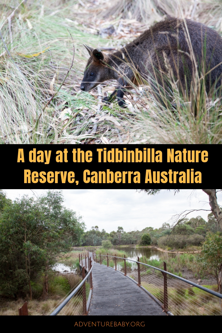 https://mdw-travel-data-us-east-1.s3.amazonaws.com/img/country/Australia/Tidbinbilla-Nature-Reserve/img_01.jpg