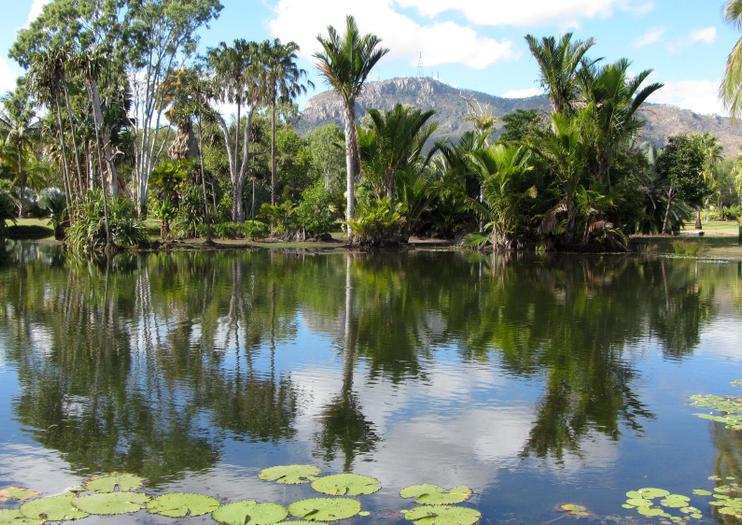 https://mdw-travel-data-us-east-1.s3.amazonaws.com/img/country/Australia/Townsville-Palmetum/img_01.jpg