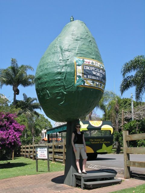 https://mdw-travel-data-us-east-1.s3.amazonaws.com/img/country/Australia/Tropical-Fruit-World/img_03.jpg
