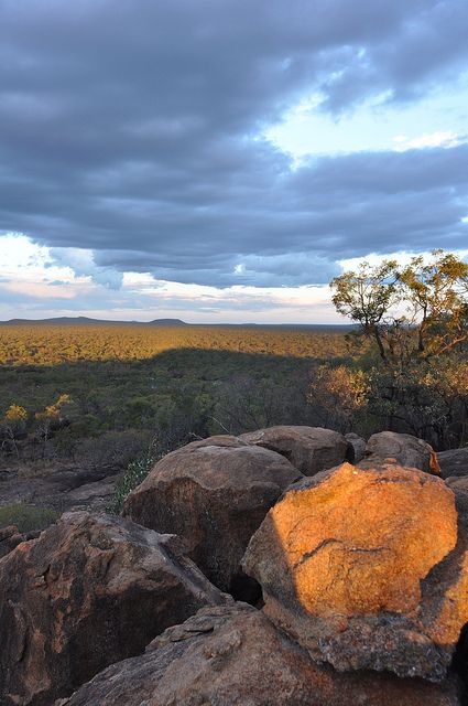 https://mdw-travel-data-us-east-1.s3.amazonaws.com/img/country/Australia/Undara-Volcanic-National-Park/img_02.jpg
