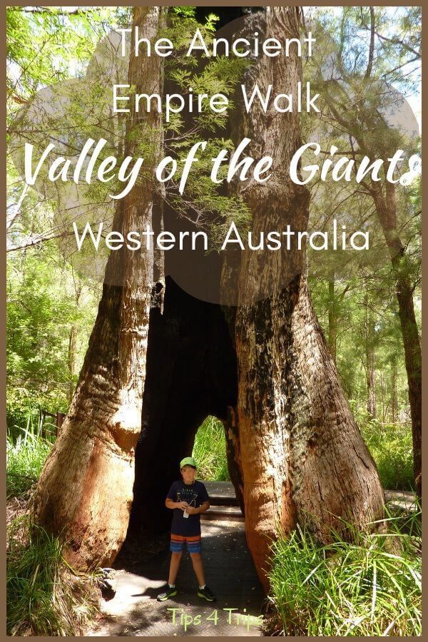 https://mdw-travel-data-us-east-1.s3.amazonaws.com/img/country/Australia/Valley-of-the-Giants/img_05.jpg