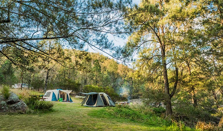 https://mdw-travel-data-us-east-1.s3.amazonaws.com/img/country/Australia/Warrabah-National-Park/img_02.jpg