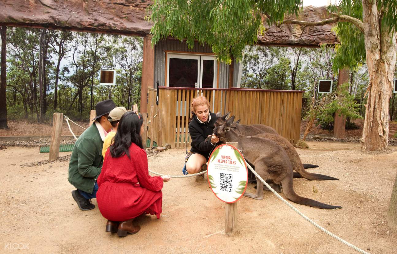 https://mdw-travel-data-us-east-1.s3.amazonaws.com/img/country/Australia/Wild-Life-Sydney-Zoo/img_02.jpg
