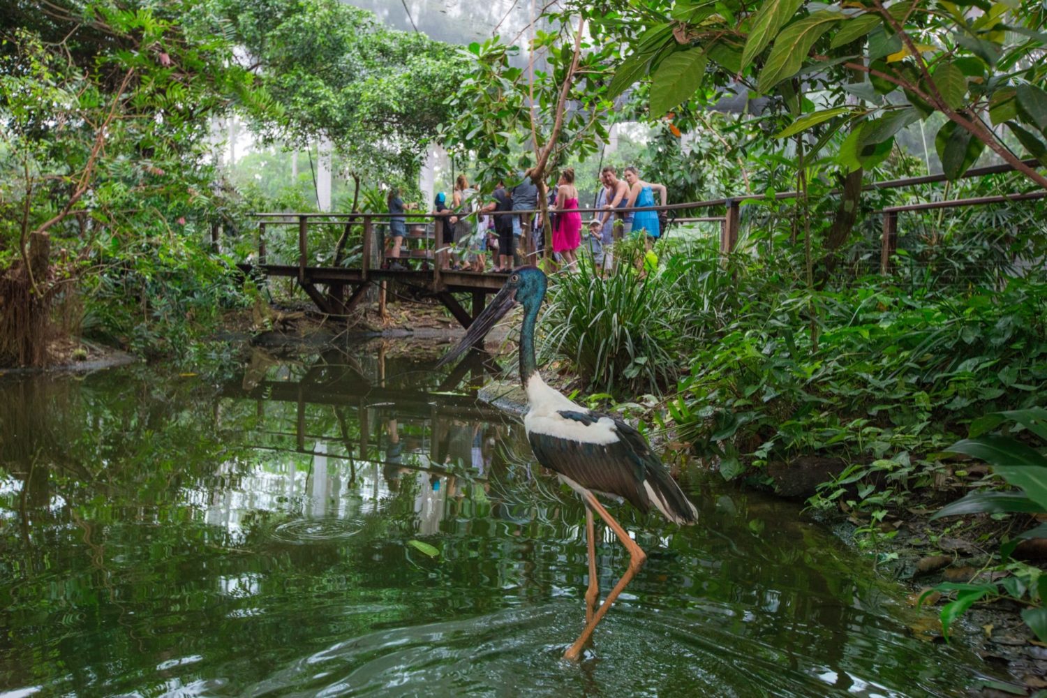 https://mdw-travel-data-us-east-1.s3.amazonaws.com/img/country/Australia/Wildlife-Habitat-Port-Douglas/img_01.jpg