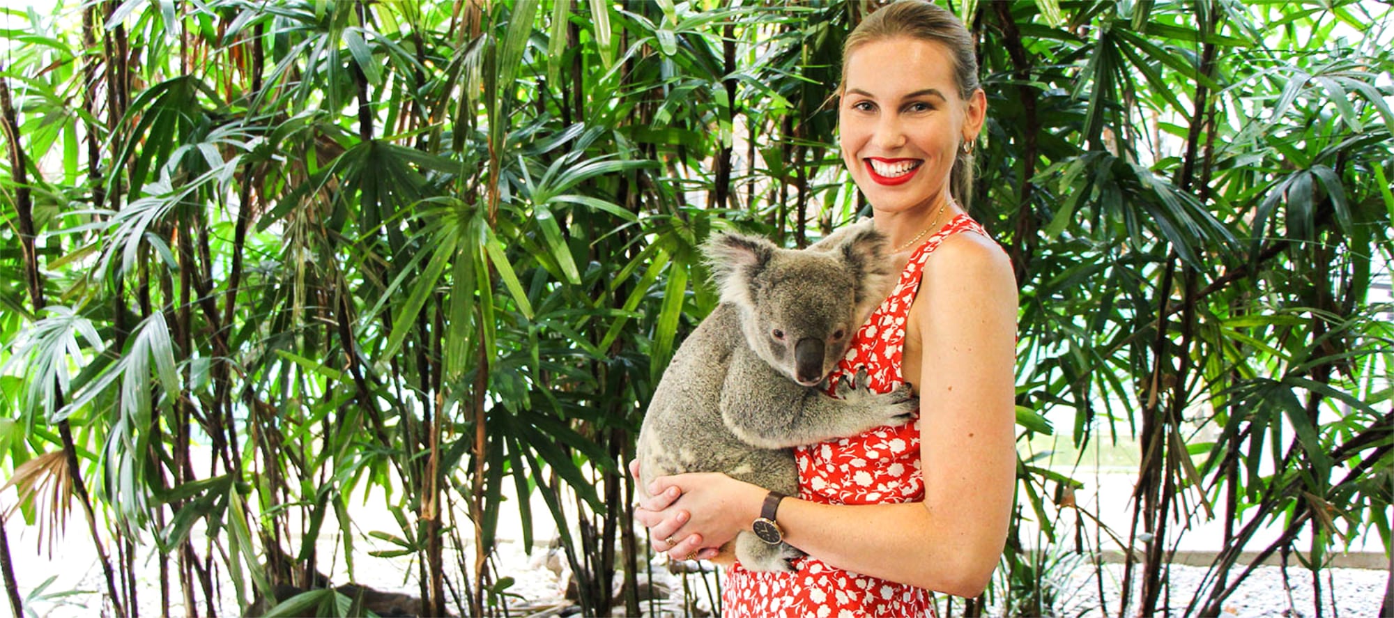 https://mdw-travel-data-us-east-1.s3.amazonaws.com/img/country/Australia/Wildlife-Habitat-Port-Douglas/img_02.jpg
