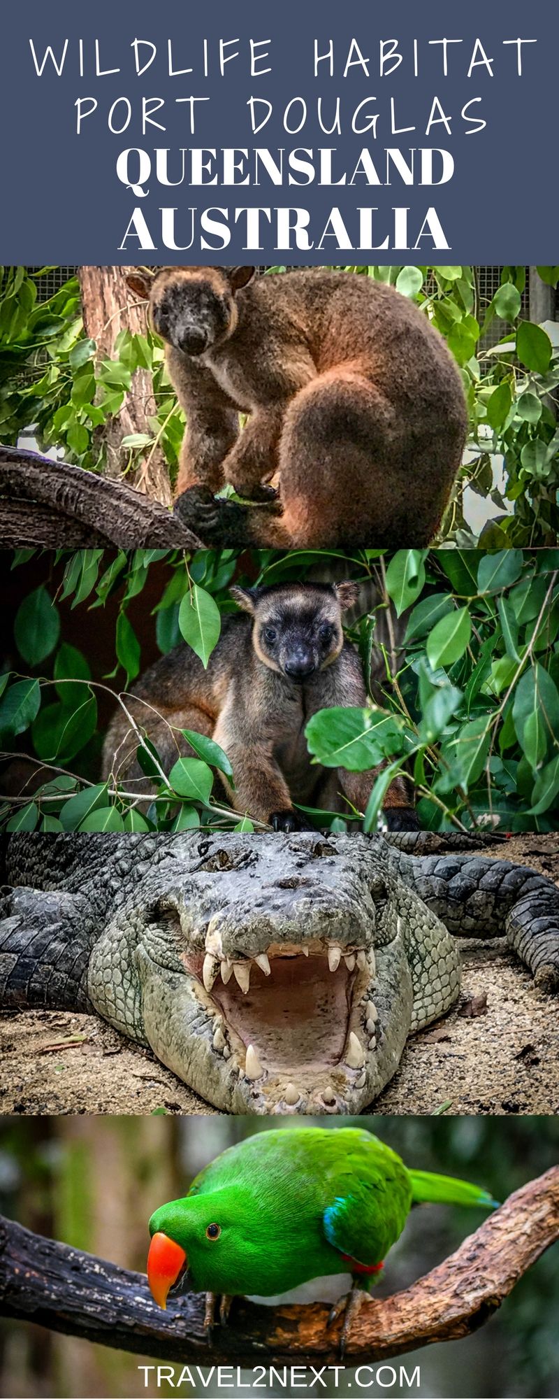 https://mdw-travel-data-us-east-1.s3.amazonaws.com/img/country/Australia/Wildlife-Habitat-Port-Douglas/img_03.jpg