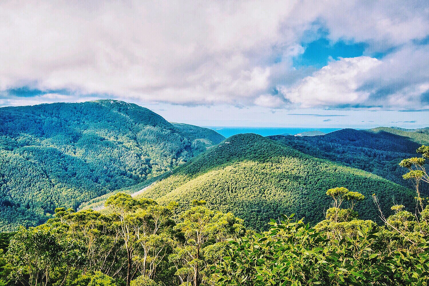 https://mdw-travel-data-us-east-1.s3.amazonaws.com/img/country/Australia/Wilsons-Promontory-National-Park/img_03.jpg
