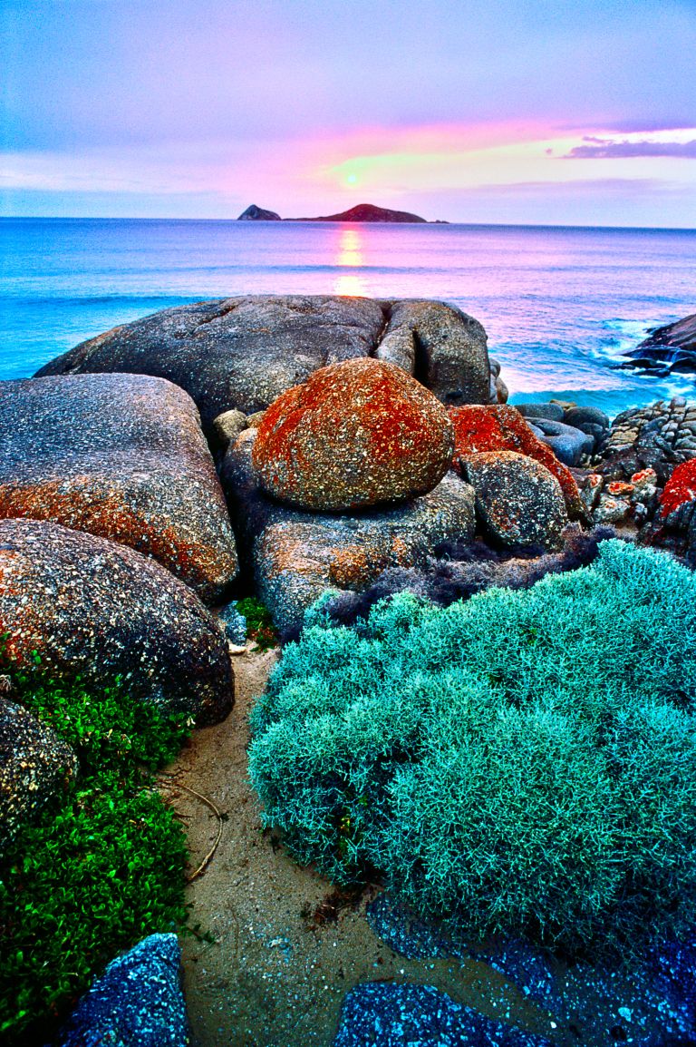 https://mdw-travel-data-us-east-1.s3.amazonaws.com/img/country/Australia/Wilsons-Promontory-National-Park/img_05.jpg