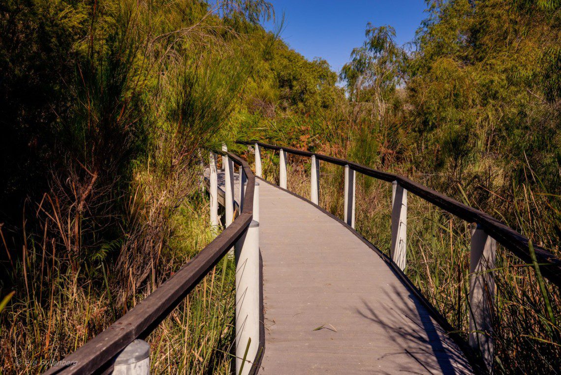 https://mdw-travel-data-us-east-1.s3.amazonaws.com/img/country/Australia/Yanchep-National-Park/img_05.jpg