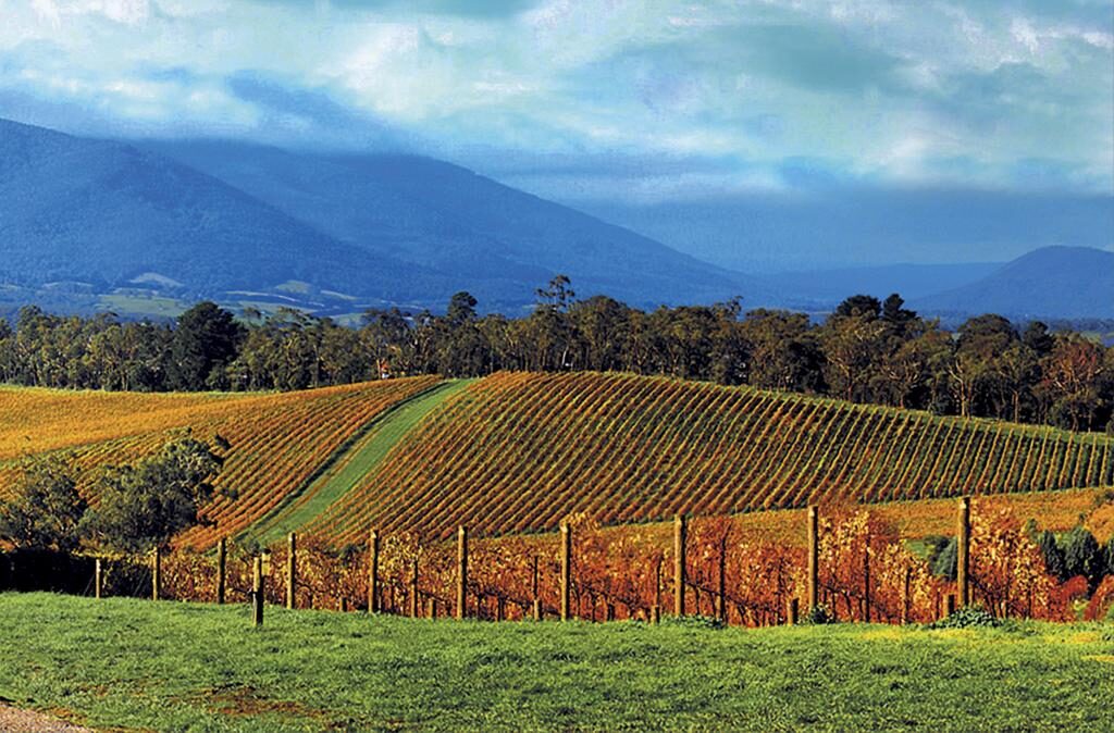 https://mdw-travel-data-us-east-1.s3.amazonaws.com/img/country/Australia/Yarra-Valley-Wineries/img_02.jpg