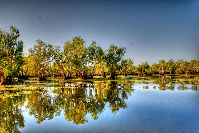 https://mdw-travel-data-us-east-1.s3.amazonaws.com/img/country/Australia/Yellow-Water-Billabong/img_05.jpg