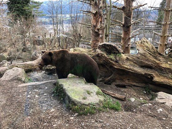 https://mdw-travel-data-us-east-1.s3.amazonaws.com/img/country/Austria/Alpenzoo-Innsbruck/img_02.jpg