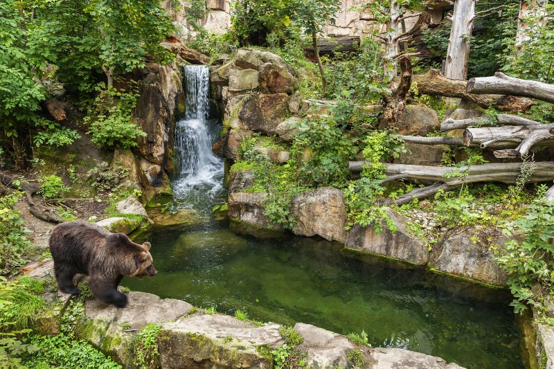https://mdw-travel-data-us-east-1.s3.amazonaws.com/img/country/Austria/Alpine-Zoo-Innsbruck/img_01.jpg