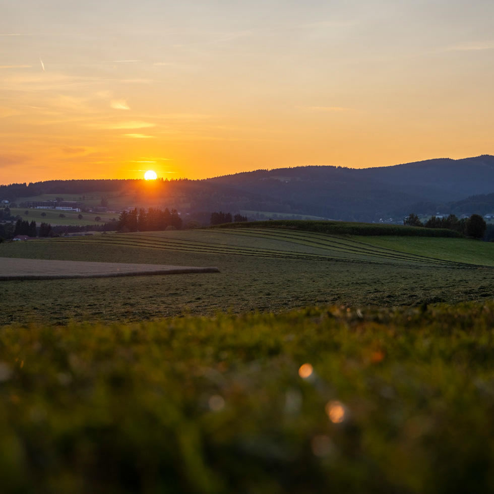 https://mdw-travel-data-us-east-1.s3.amazonaws.com/img/country/Austria/Bad-Leonfelden/img_04.jpg