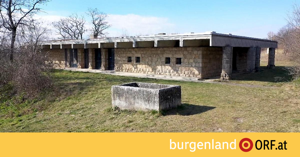 https://mdw-travel-data-us-east-1.s3.amazonaws.com/img/country/Austria/Bildhauerhaus/img_02.jpg