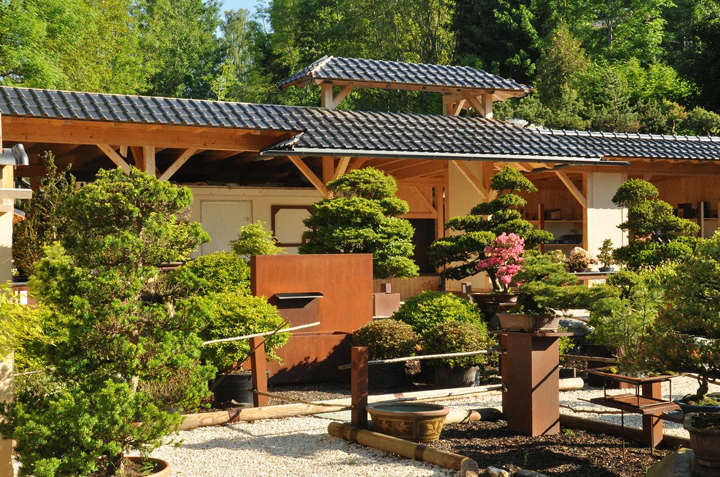 https://mdw-travel-data-us-east-1.s3.amazonaws.com/img/country/Austria/Bonsai-Museum/img_01.jpg