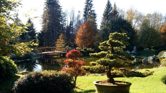 https://mdw-travel-data-us-east-1.s3.amazonaws.com/img/country/Austria/Bonsai-Museum/img_04.jpg