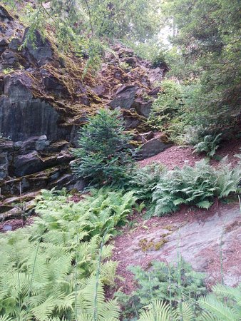 https://mdw-travel-data-us-east-1.s3.amazonaws.com/img/country/Austria/Botanic-Gardens-of-Klagenfurt-University/img_02.jpg