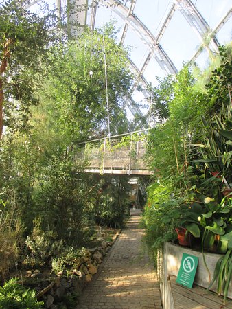 https://mdw-travel-data-us-east-1.s3.amazonaws.com/img/country/Austria/Botanical-Garden-of-Graz/img_03.jpg