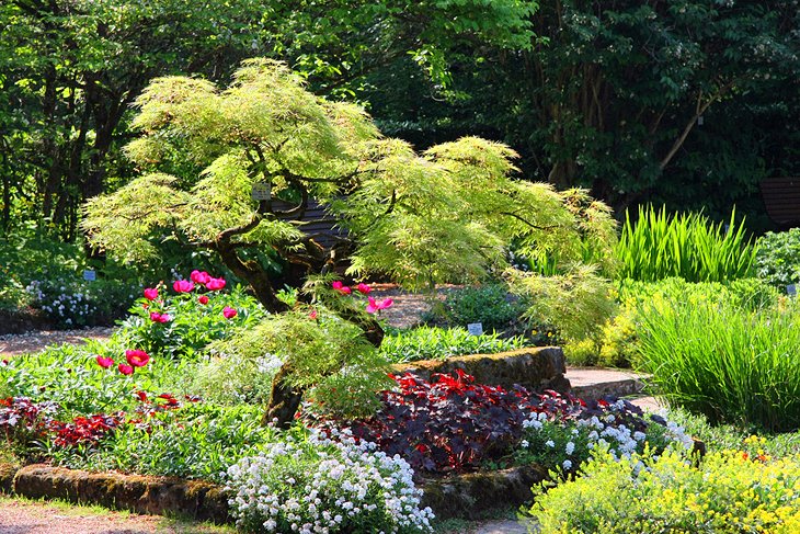 https://mdw-travel-data-us-east-1.s3.amazonaws.com/img/country/Austria/Botanical-Gardens-Linz/img_01.jpg