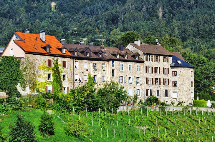 https://mdw-travel-data-us-east-1.s3.amazonaws.com/img/country/Austria/Bregenz-Upper-Town/img_02.jpg